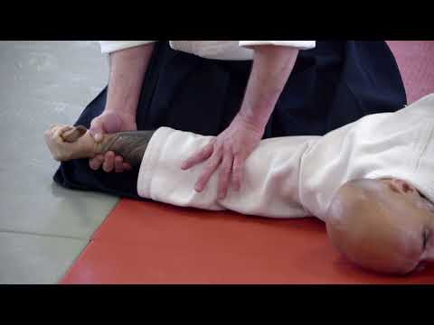 Aikodo: Seminar with Stephane Goffin May 2025