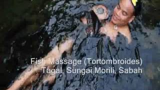 preview picture of video 'Tagal Sungai Morili - Fish Massage'