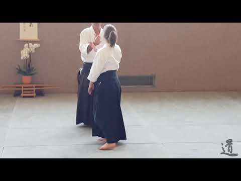 Traditional Aikido Europe - WORKING WITH AN ARC - Lewis Bernaldo de Quiros