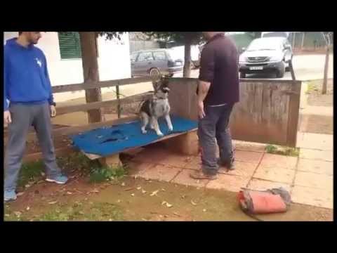 Oxana Of Crazy Waters 8 month old!!!