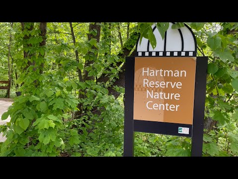 Waterloo Iowa Cherished Found