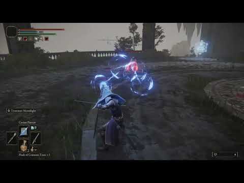 Carian Piercer Hitbox slowmo