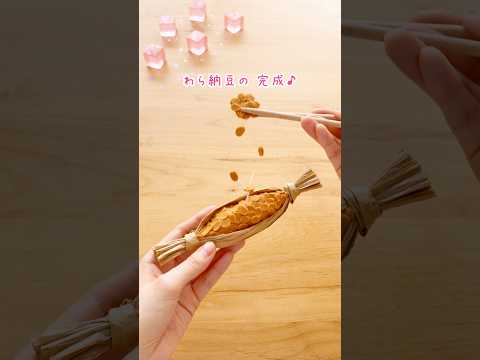みなさんのアイデアがすごい🤭 #shorts #ハンドメイド #手作り #100均 #100均diy #フェイクフード