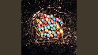 Please Don't Mistake My Arrogance For Shyness