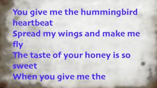 Katy Perry Hummingbird Heartbeat Lyrics