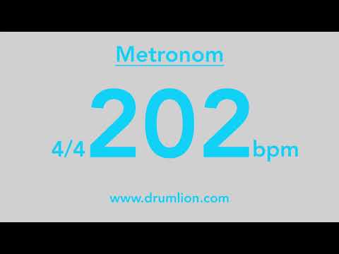 202 bpm - 4/4 | DRUMLION