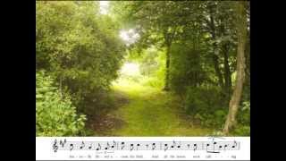 I Meant To Do My Work Today