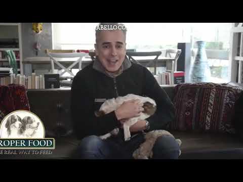 Jorge Enrique Abello jeabello Instagram Compilation 2018