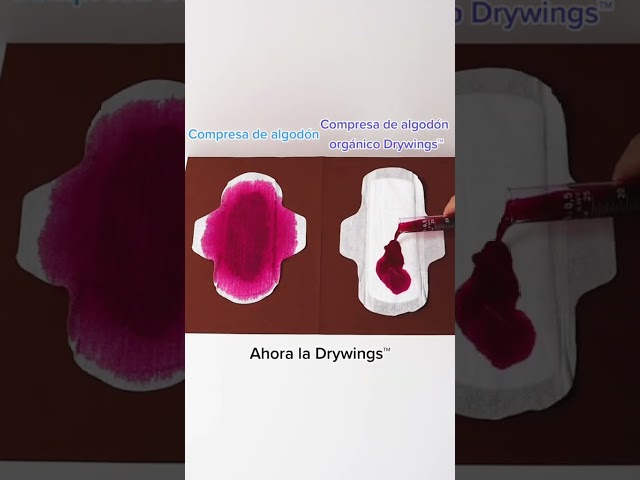 Vídeo relacionado con Carefree Braguitas de algodón orgánico 100% (24 unidades), 100% algodón orgánico certificado para una sensación natural y seca, talla larga