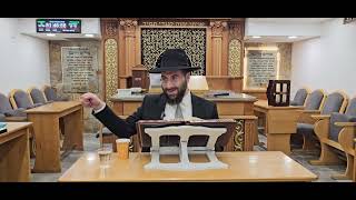 הרב משה יוסף המשך הלכות מאה ברכות בשבת