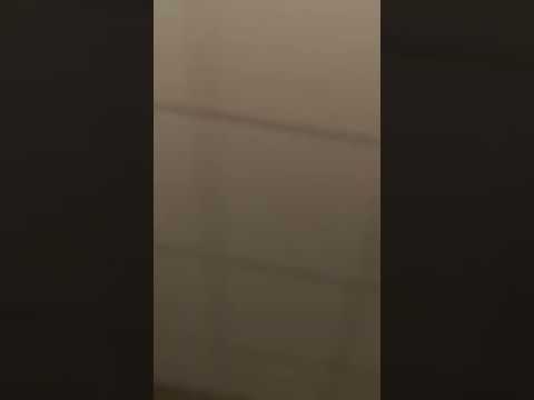 Lidiya and Lola!! Dog eating salty sticks!