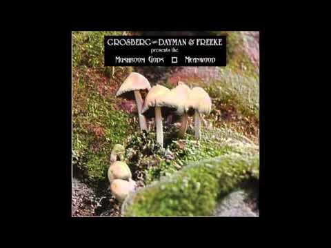 Mushroom Gods - Meanwood (2003)