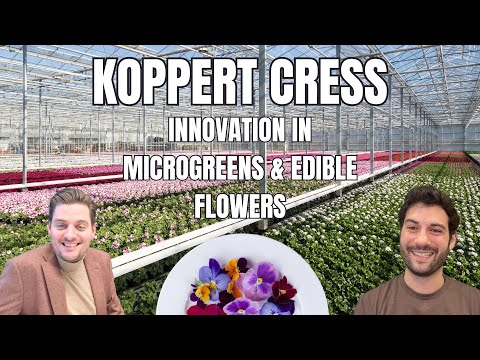 Koppert Cress: Shaping the Future of Microgreens