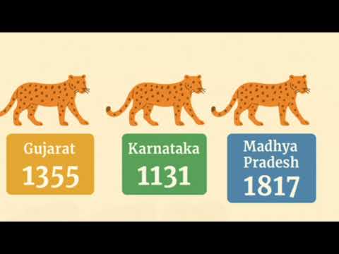 Elephants,Tigers, and Leopards – Class 4 Mathematics video