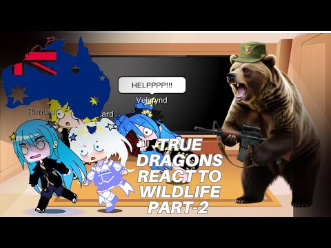 True Dragons (tensura) react to Australian wildlife by  @moreparz  [Part-2]