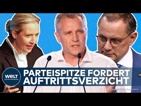 BYSTRON-AFFÄRE: Brisante Beschränkung! - AfD bremst Wahlkampfaktivitäten aus!