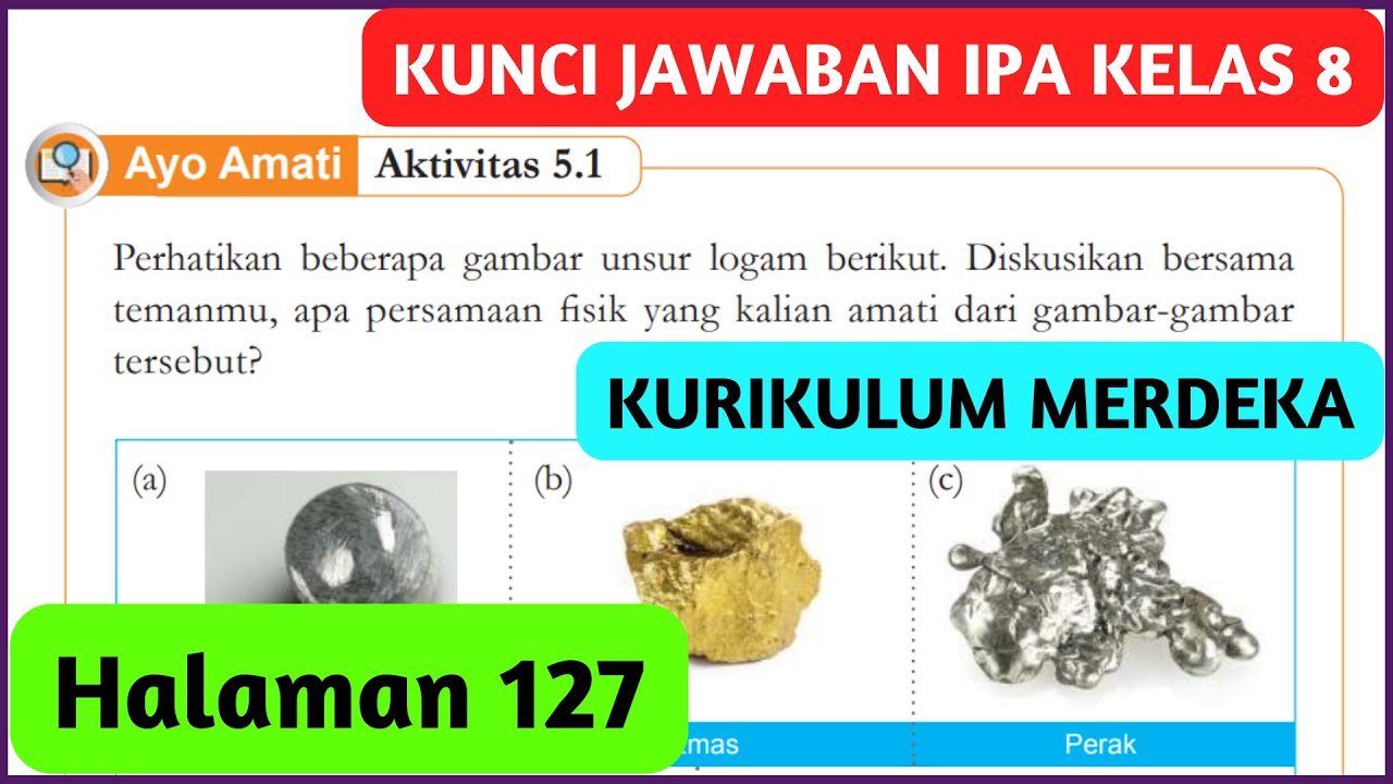 Kunci Jawaban IPA Kelas 8 Halaman 127 Kurikulum Merdeka Ayo Amati Aktivitas 5.1