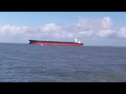 Alto Mar video