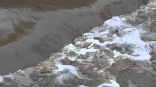 preview picture of video 'Hubble Creek Low Water Crossing in Jackson (MO) CIty Park'