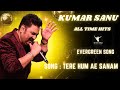 Tere Hum Ae Sanam Jeena Teri Gali Mein Kumar Sanu Anuradha Paudwal