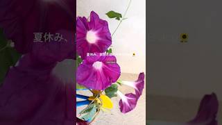 夏休み、家族で過ごす休日🌿 #日常vlog #家族vlog #ママvlog #夏休み #子育てママ #休日vlog #日常の記録