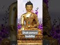 shakyamuni buddha