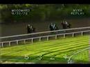 Seattle Slew - 1978 Woodward Stakes