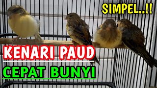 Download lagu SIMPEL..! Perawatan Kenari Paud Atau Anakan Agar Cepat Bunyi mp3 Download lagu SIMPEL..! Perawatan Kenari Paud Atau Anakan Agar Cepat Bunyi mp3