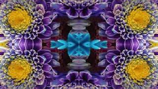 Two Trains Runnin' (by Dave Van Ronk live at Indiana U. '64)