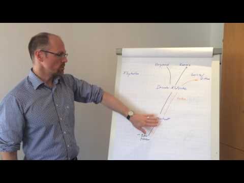 Baustellen im Dresdner Norden