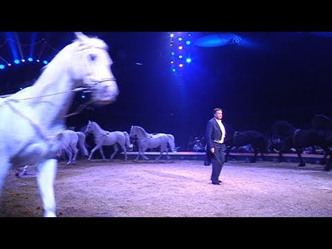 100 Jahre Zirkus Knie