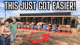 Installing Automatic Chicken Feeders & Waterers | Step 15 of Shipping Container Coop Build