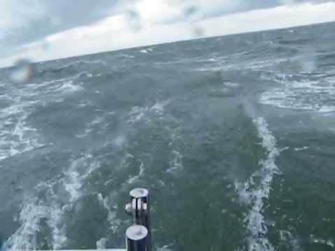 Windstärke 7 auf der Osterschelde