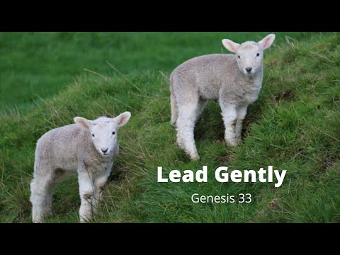 Genesis 33 (8/14/2021) Lead Gently