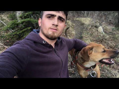 KÖPEĞİM İLE ORMANIN İÇİNDE GEZDİK(KÖY HAYATI)