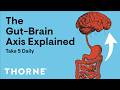 The Gut Brain Axis Explained Take 5 Daily Thorne