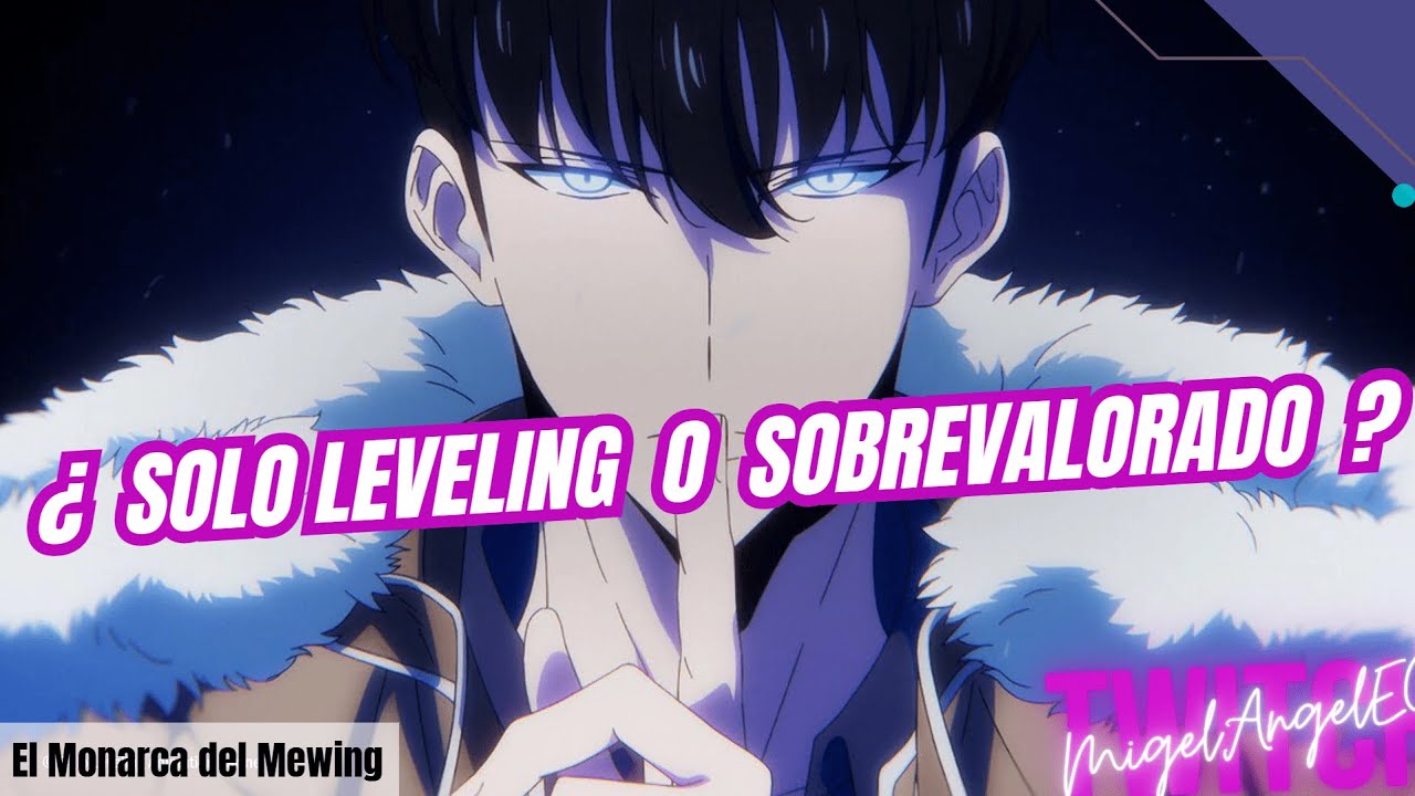 From Criticism to Success: The Redemption of #SoloLeveling