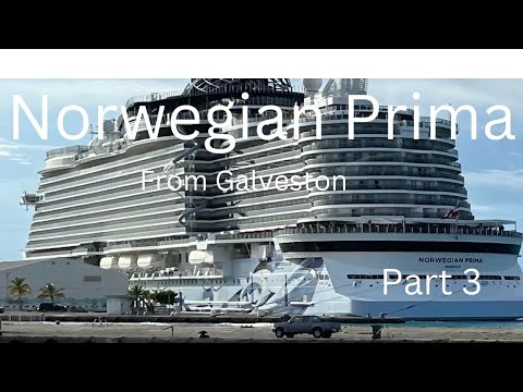 #FilmoraGo -2022-11-14 06:59:21