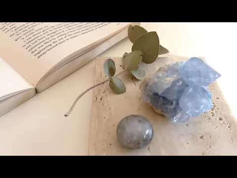 黄色のオサギの木、Gleditsia 'サンバースト' 植物