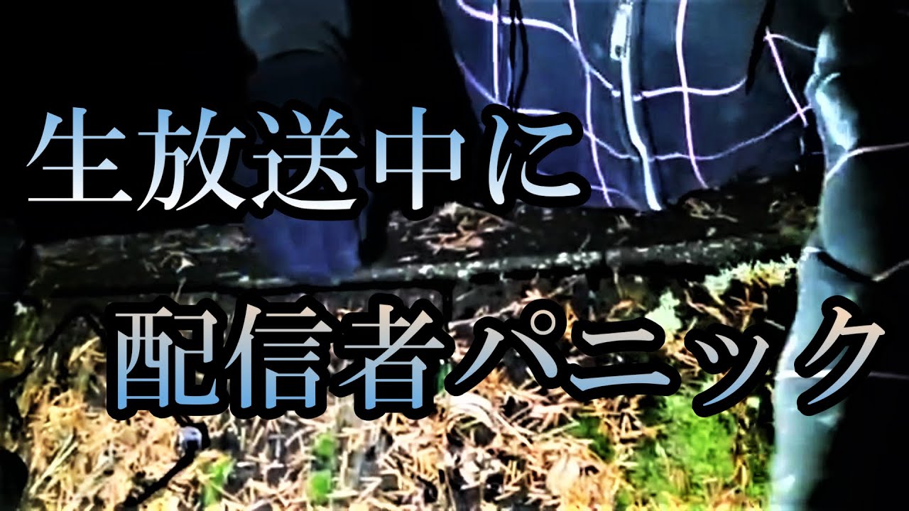 心霊生放送中のハプニング！！霊現象の撮れ高を焦ってしまった配信者の末路・・・