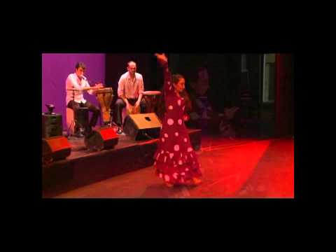 Vídeo Compañía Flamenca Dolores Giménez 1