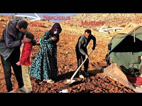 From renting a house to falling in love with Narges|A story that will make you cry