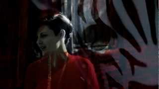 Today the Moon, Tomorrow the Sun &quot;We Were Wild&quot; OFFICIAL VIDEO