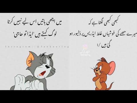  Funny photos to put on your WhatsApp profile