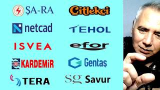 Şara enerji - ÇitlekÇi - NetCad - Tehol - İsvea - Efor - Kardemir - Ge