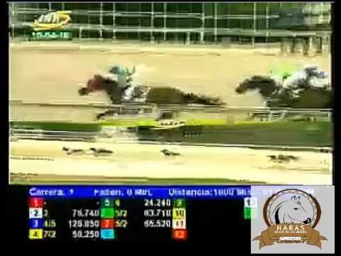 LA RINCONADA 1 CARRERA, DOMINGO 10 DE ABRIL DEL 2016