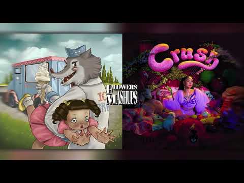 Bella Poarch x Melanie Martinez • Crush x Tag you're it『𝔪𝔞𝔰𝔥𝔲𝔭 』・*｡