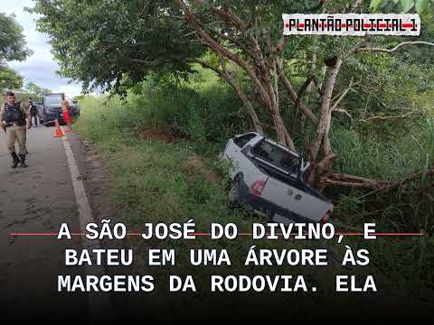 Caminhonete sai da pista e atinge árvore na MGC-311, em Nova Módica; motorista de 72 anos morre