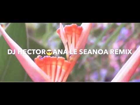 ⚡️NEW⚡️DJ HECTOR REMIX 2018 - PUNIALAVA'A - ANA LE SEANOA