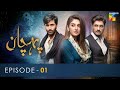 Pehchaan Episode 01 ENG SUB Hiba Bukhari Syed Jibran 9th June 2022 HUM TV